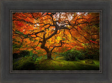 Load image into Gallery viewer, Tree of Perspective

