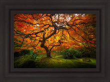 Load image into Gallery viewer, Tree of Perspective
