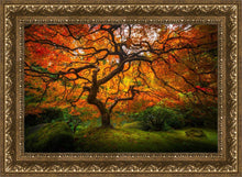 Load image into Gallery viewer, Tree of Perspective
