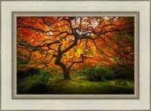 Load image into Gallery viewer, Tree of Perspective
