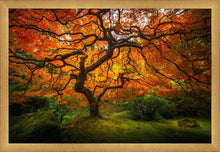 Load image into Gallery viewer, Tree of Perspective
