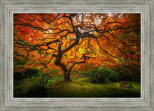 Load image into Gallery viewer, Tree of Perspective
