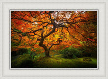 Load image into Gallery viewer, Tree of Perspective
