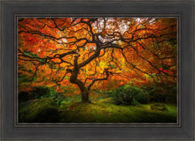 Load image into Gallery viewer, Tree of Perspective
