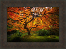 Load image into Gallery viewer, Tree of Perspective
