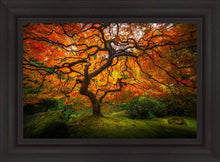 Load image into Gallery viewer, Tree of Perspective
