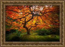 Load image into Gallery viewer, Tree of Perspective
