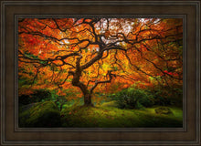 Load image into Gallery viewer, Tree of Perspective
