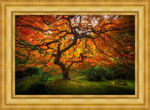 Load image into Gallery viewer, Tree of Perspective
