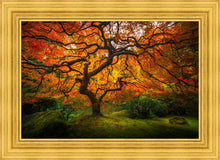 Load image into Gallery viewer, Tree of Perspective
