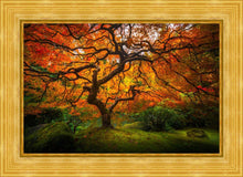 Load image into Gallery viewer, Tree of Perspective
