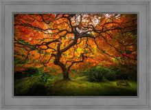 Load image into Gallery viewer, Tree of Perspective
