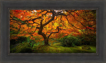 Load image into Gallery viewer, Tree of Perspective
