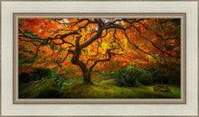 Load image into Gallery viewer, Tree of Perspective
