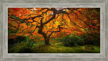 Load image into Gallery viewer, Tree of Perspective
