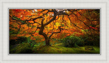 Load image into Gallery viewer, Tree of Perspective
