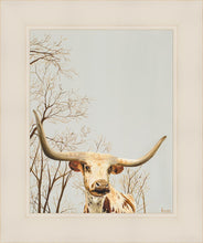 Load image into Gallery viewer, Longhorn
