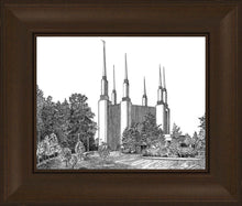 Load image into Gallery viewer, Washington DC Temple
