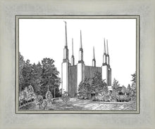 Load image into Gallery viewer, Washington DC Temple
