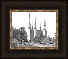 Load image into Gallery viewer, Washington DC Temple
