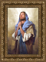Load image into Gallery viewer, Light From Above
