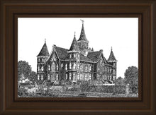 Load image into Gallery viewer, Provo City Center Temple
