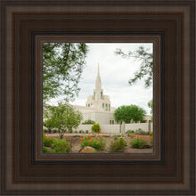 Load image into Gallery viewer, Phoenix Spring Blooms
