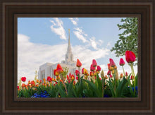 Load image into Gallery viewer, Ogden Flowers
