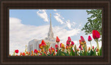 Load image into Gallery viewer, Ogden Flowers
