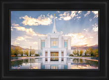 Load image into Gallery viewer, Ogden the Miracle is Coming
