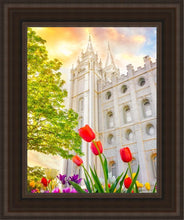 Load image into Gallery viewer, Salt Lake Spring Tulips
