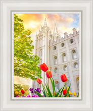 Load image into Gallery viewer, Salt Lake Spring Tulips

