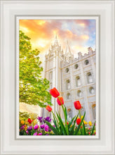 Load image into Gallery viewer, Salt Lake Spring Tulips

