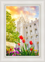 Load image into Gallery viewer, Salt Lake Spring Tulips
