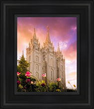 Load image into Gallery viewer, Salt Lake Tulips
