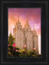 Load image into Gallery viewer, Salt Lake Tulips
