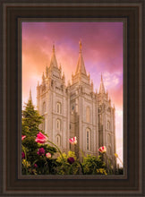 Load image into Gallery viewer, Salt Lake Tulips

