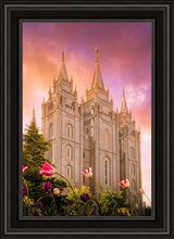 Load image into Gallery viewer, Salt Lake Tulips
