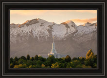 Load image into Gallery viewer, Mt. Timpanogos You’re not Alone
