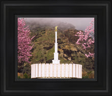 Load image into Gallery viewer, Provo Oncoming Storm
