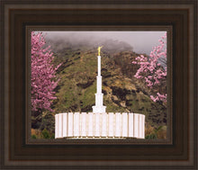 Load image into Gallery viewer, Provo Oncoming Storm
