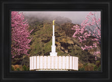 Load image into Gallery viewer, Provo Oncoming Storm
