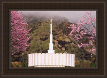 Load image into Gallery viewer, Provo Oncoming Storm
