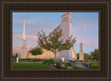Load image into Gallery viewer, Boise Detail
