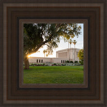 Load image into Gallery viewer, Mesa Arizona Shining On
