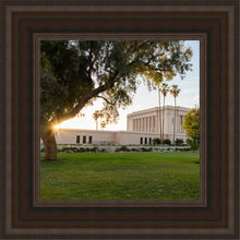 Load image into Gallery viewer, Mesa Arizona Shining On
