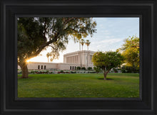Load image into Gallery viewer, Mesa Arizona Shining On
