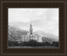 Load image into Gallery viewer, Payson High Key
