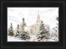 Load image into Gallery viewer, Payson Heavenly Peace
