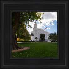 Load image into Gallery viewer, Saint George Fall Leaves
